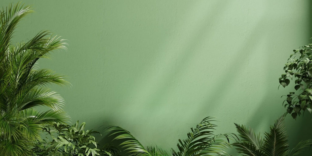 Green wall with plants