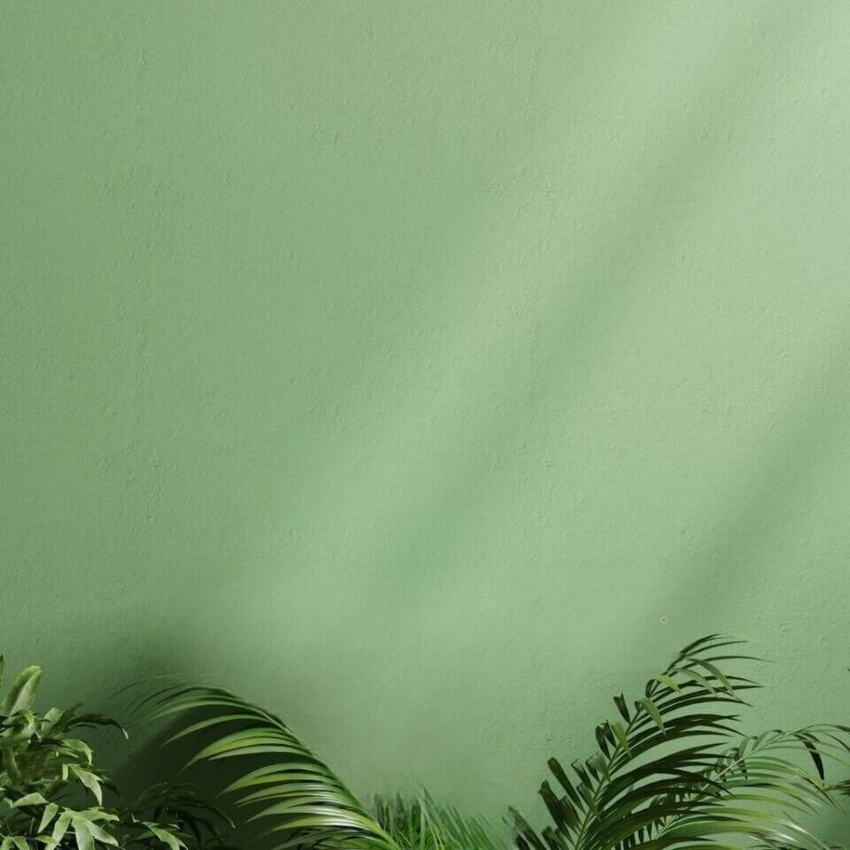 We Know Health green wall with plants