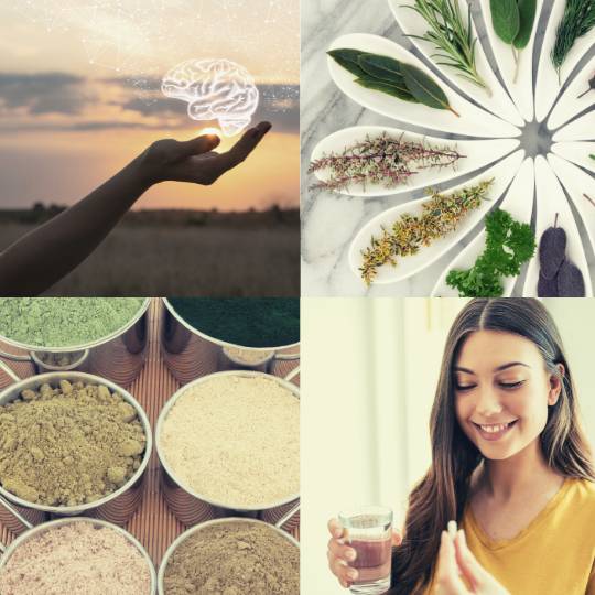 development process for evidence based natural supplements